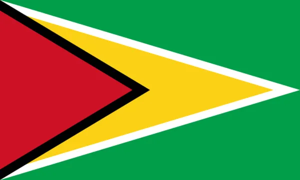 Flaga państwa GUJANA